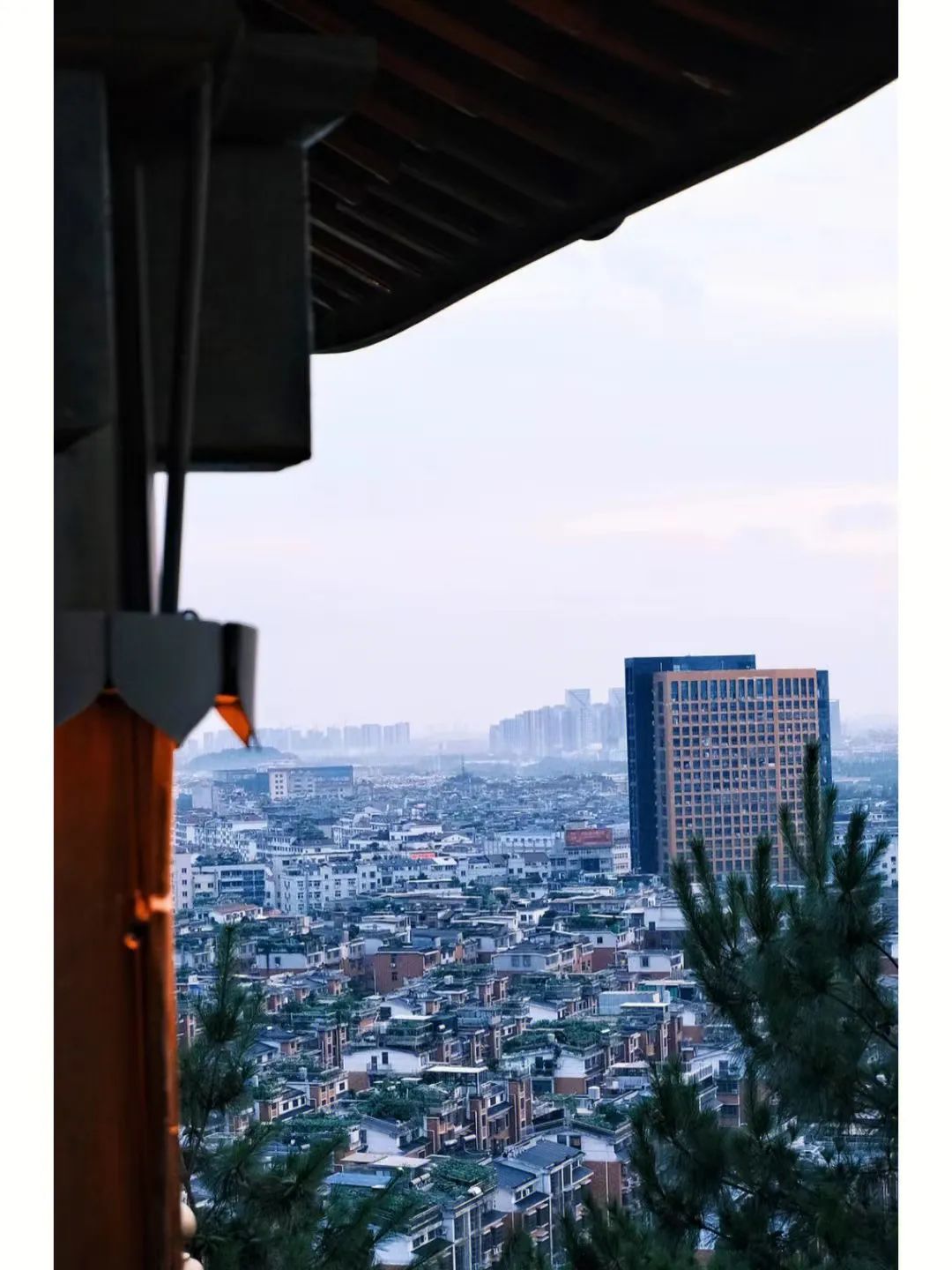 这个小县城藏了无数神仙美食,温州这座被低估的美食之城