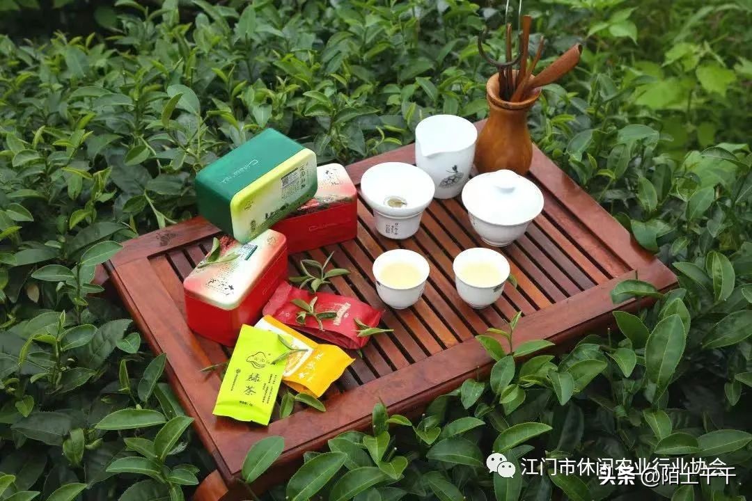 秋分将至，来游江门乡村休闲精品线路啦！美景美食不能少