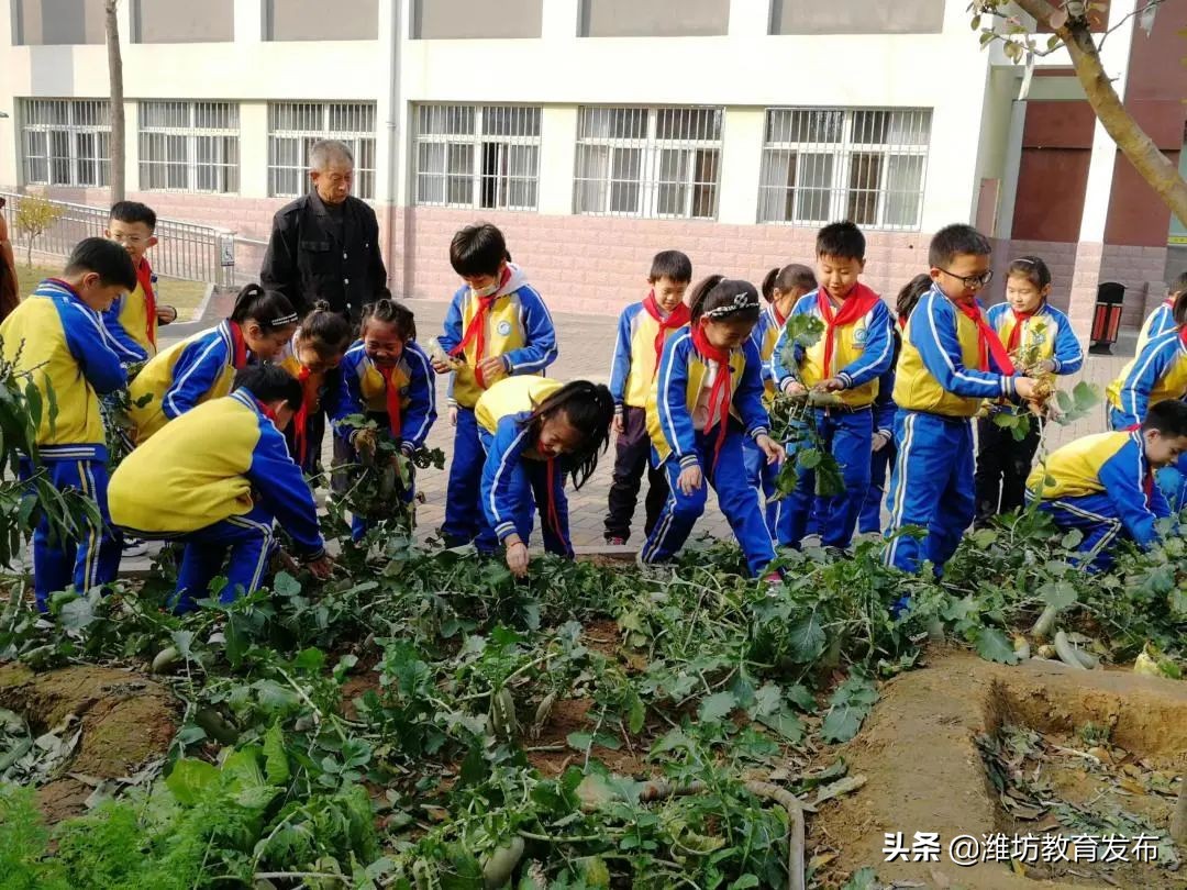 关于提升课后服务水平的建议,教育局课后服务开展情况简介