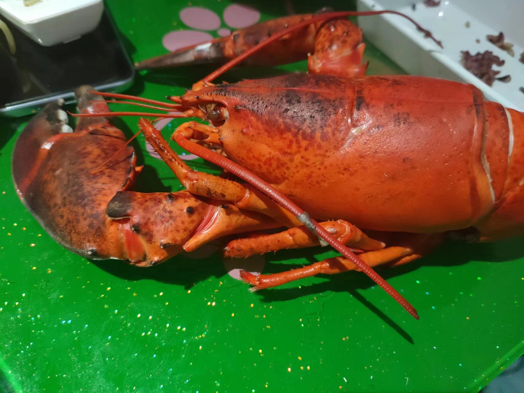 吃小龙虾重金属中毒症状及表现,龙虾脑重金属超标