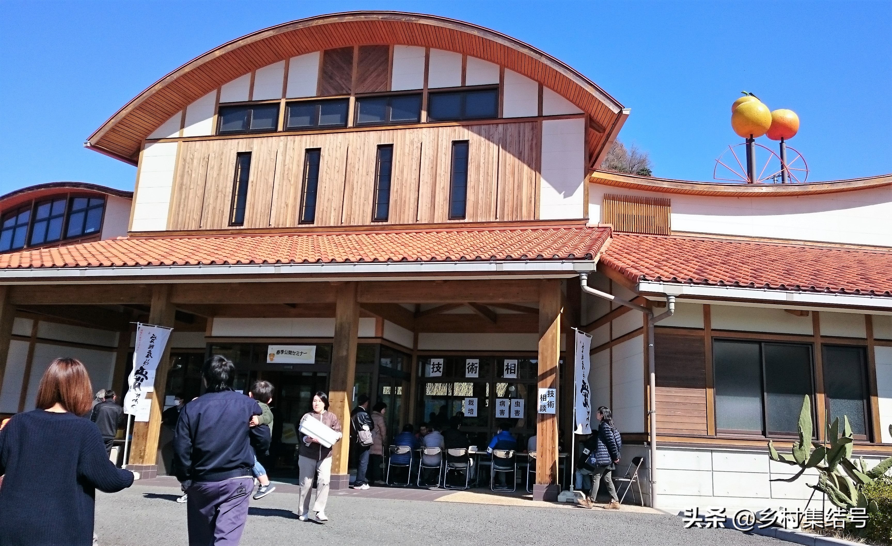 日本爱媛县柑橘,日本爱媛县柑橘研究所