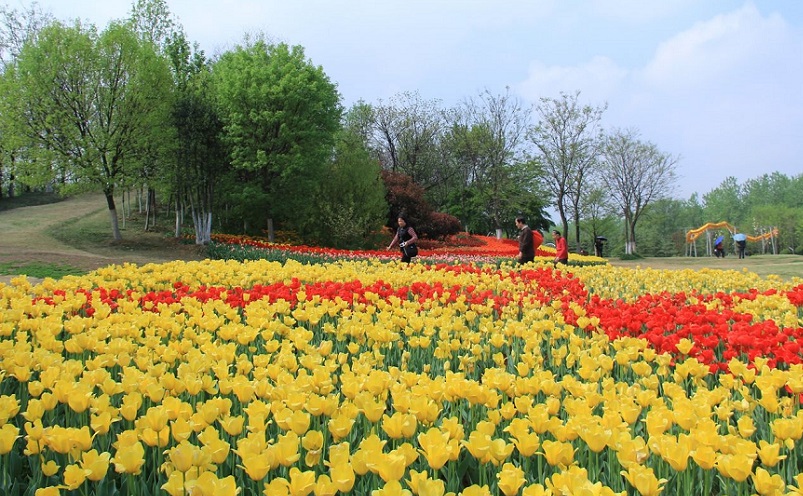 合肥旅游必去十大景点推荐最新,合肥旅游必去十大景点推荐一下