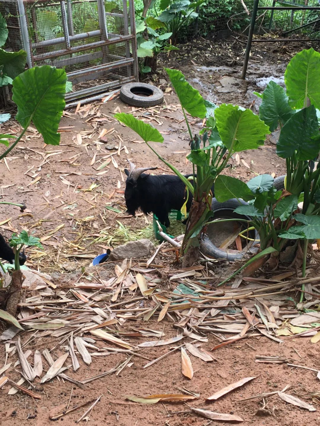 旭光电动车行,旭光车行向阳路