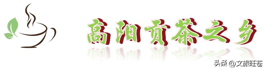 旺苍六大茶乡,个个香飘万里!看看你最熟悉哪几个?