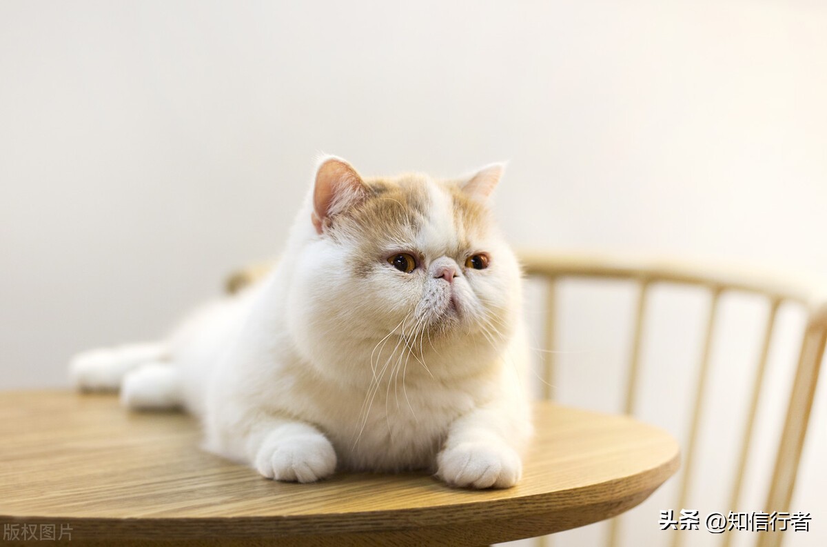 逆向思维赚钱生意案例视频,如何提升自己赚钱的思维逻辑