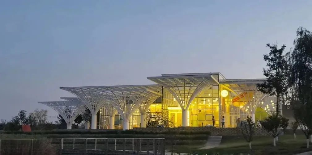 衡水园博园改造,衡水湖改造工程