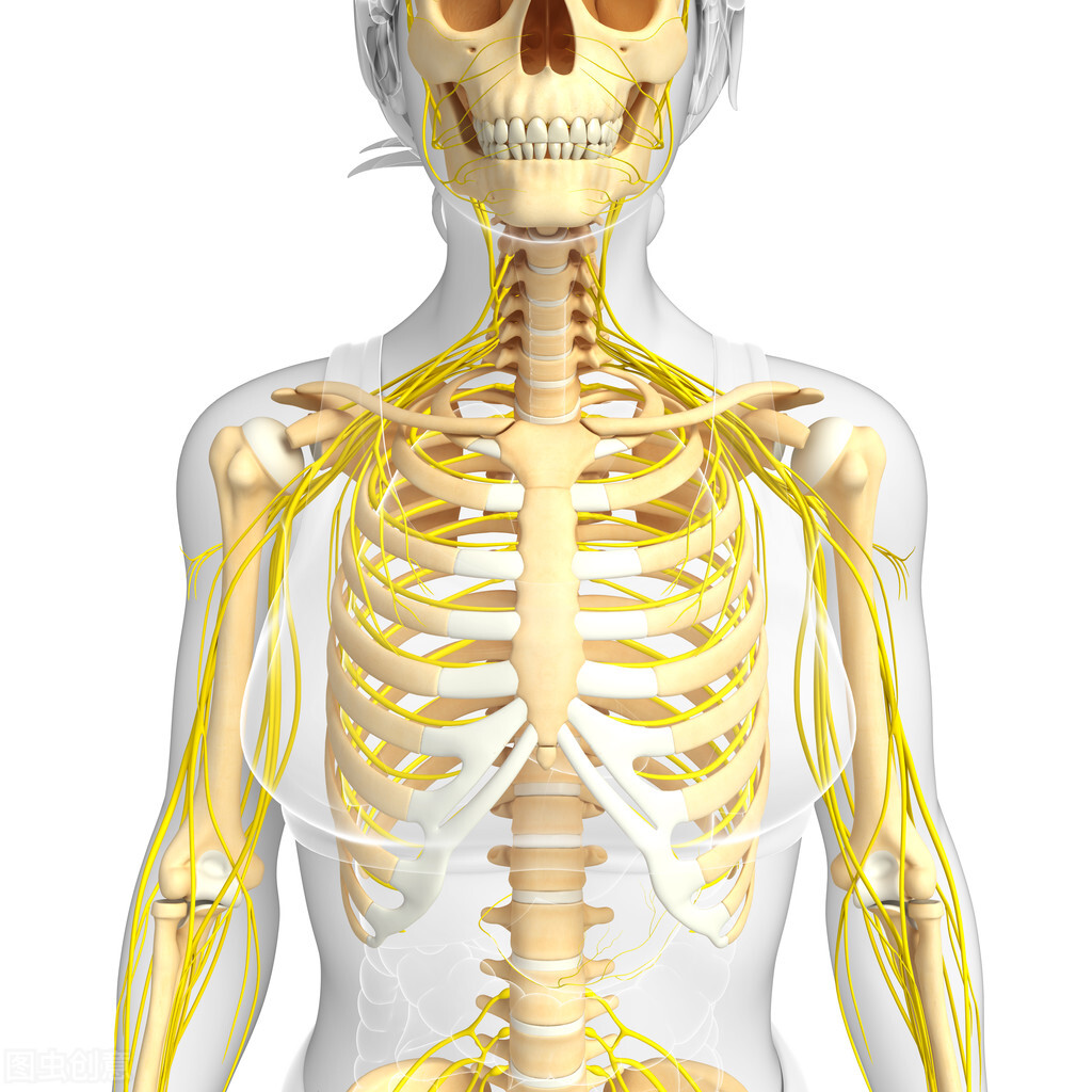 游泳时呼吸时心率多少,游泳呼吸用嘴吐可以吗