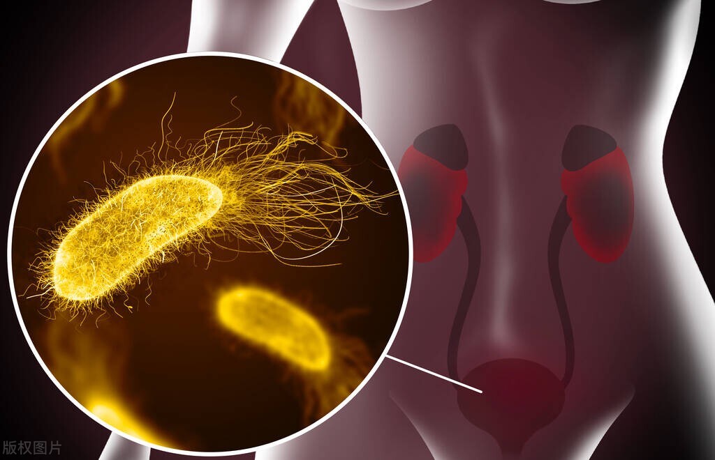 女性小便后为啥要用纸巾擦，男人的“抖一抖”是咋回事？一文说清