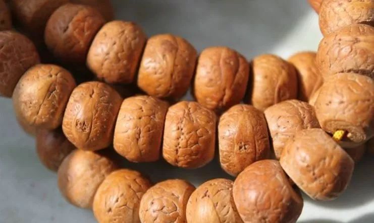 凤眼菩提眼里有坑,凤眼菩提哪年最疯狂