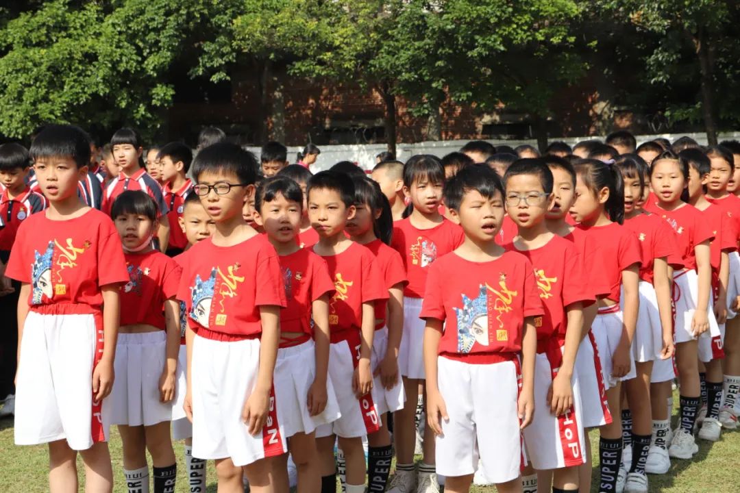 逐梦绿茵晨光足球赛,逐梦绿茵足球联赛