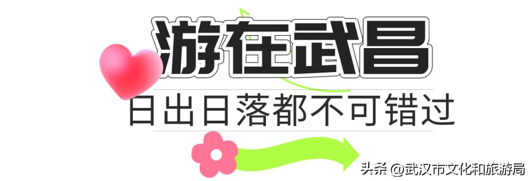 每次去都很「惊艳」的地方是____