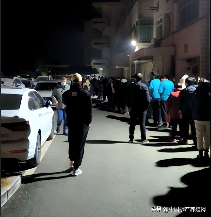 槌滈奔椴堥奔鎸佺画娑ㄤ环,槌滈奔椴堥奔鍗翠究瀹滀簡