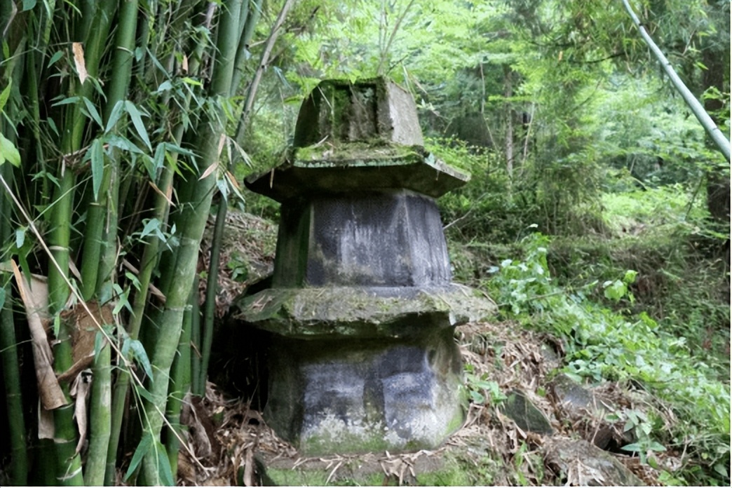 营山县任颖辉,营山任颖辉