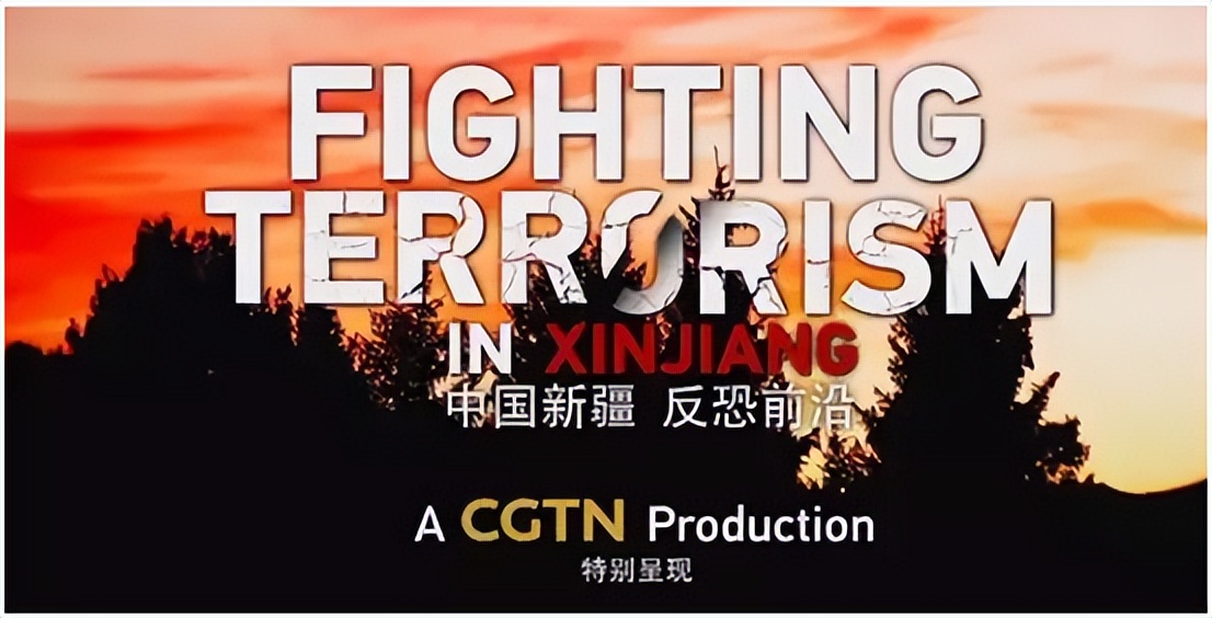 “外交女神”华春莹最飒的巾帼女将：优秀是习惯，微笑是力量