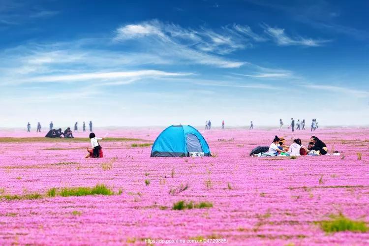 苦难的过去，救我们生命的鄱阳湖