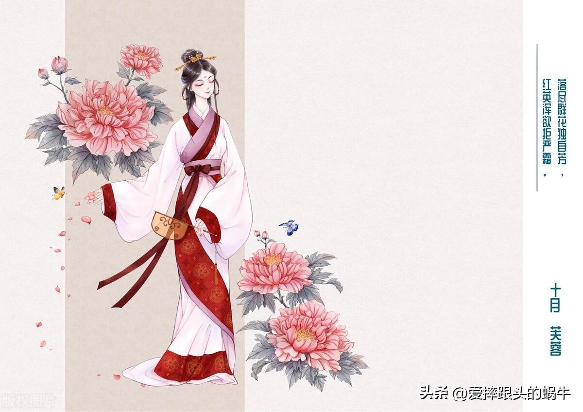 十二花神图谱完整版,工笔画十二花神欣赏