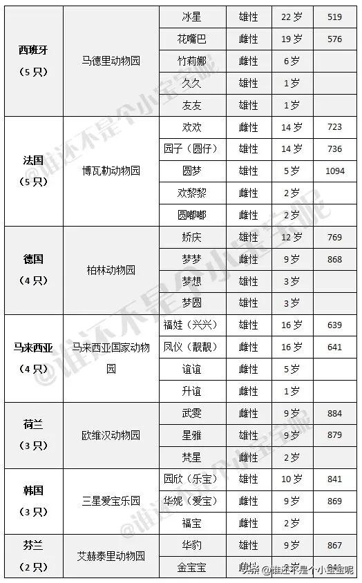 目前在国外的大熊猫有几只,大熊猫国外租借了多少只