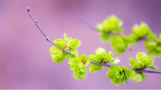 12星座下周谁会最好运,十二星座下周运势曲线图