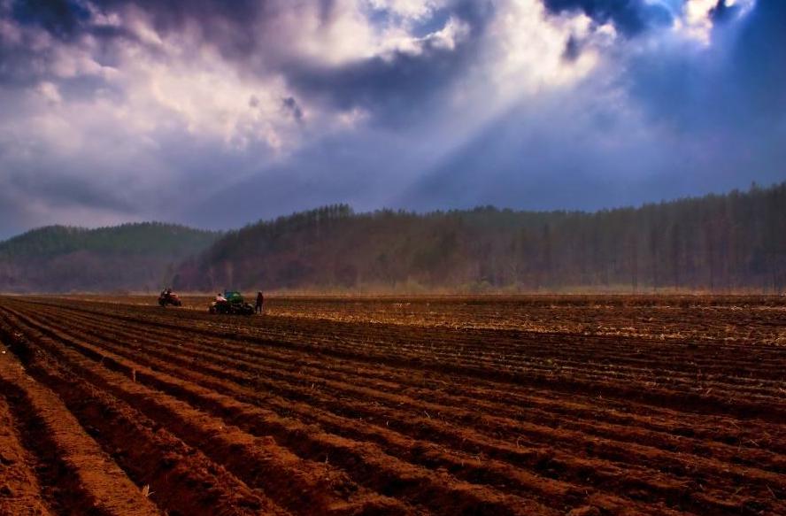 春耕备耕正当时七绝诗歌,春耕时节诗词鉴赏