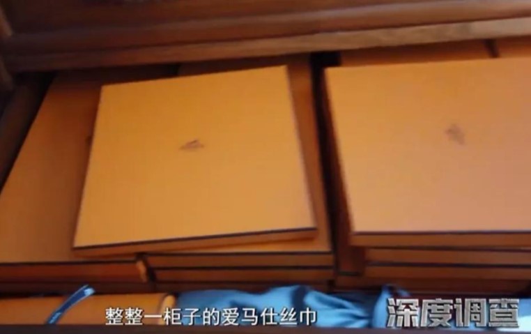 女贪官20多年老纪检：爱马仕丝巾整整一柜子，买了一套房藏匿赃物