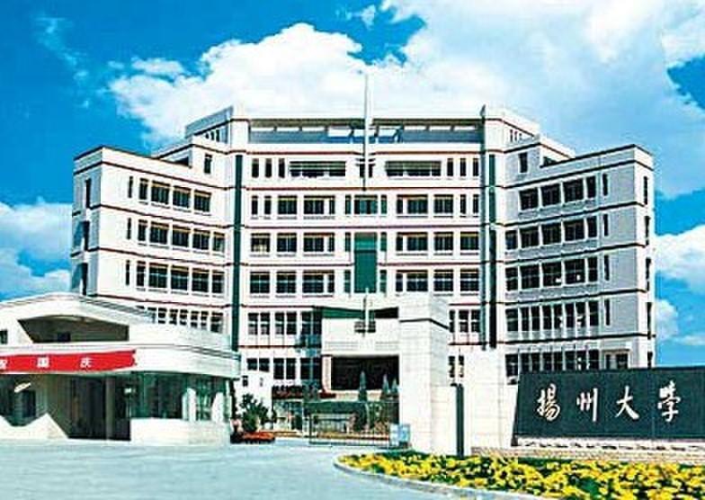 扬州市大型激光整平机常用解决方案,扬州市大型激光整平机哪家好