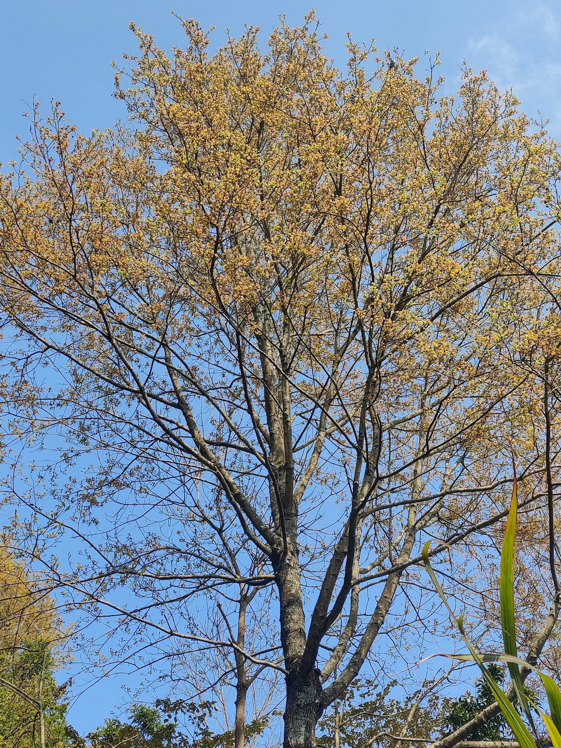 徒步三叠井森林公园，拥抱采兰溪，走进大自然