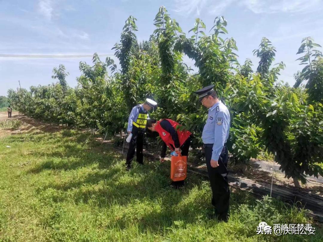 禁毒宣传进寄递业筑牢禁毒防线,开展禁毒宣教筑牢禁毒安全防线