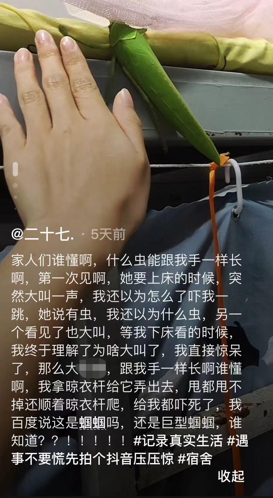 学校突然出现诡异的虫子,女生宿舍惊现不明虫