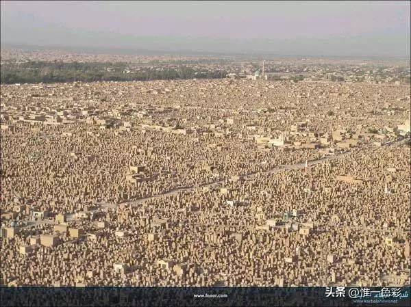 从谷歌上看你以为这是座城市，放大1000倍后的景象却让人毛骨悚然