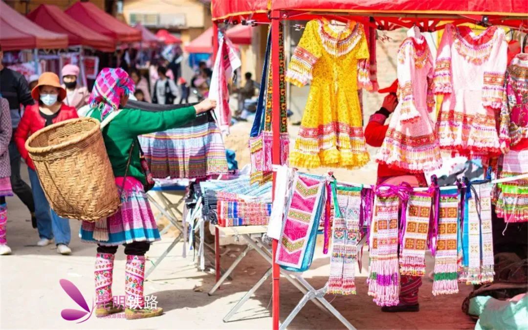 我要去红河,上车去