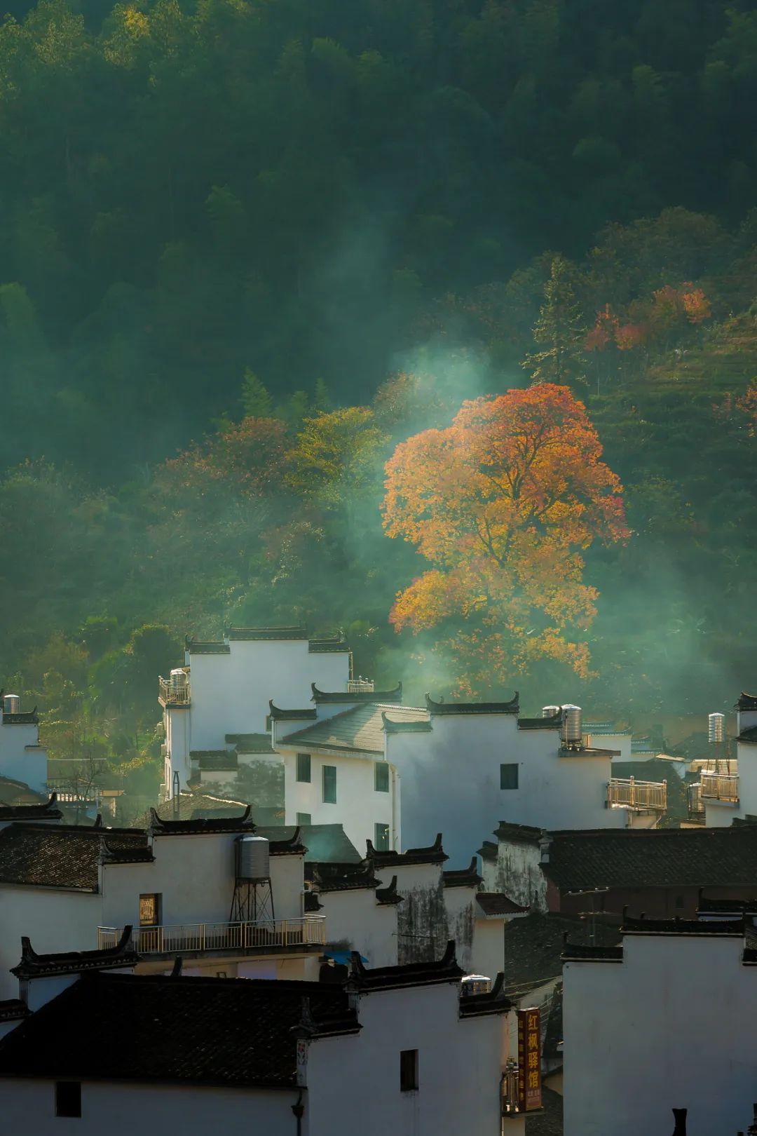 人间灯火总有一盏为你而亮,人间的烟火总有一盏属于自己的灯