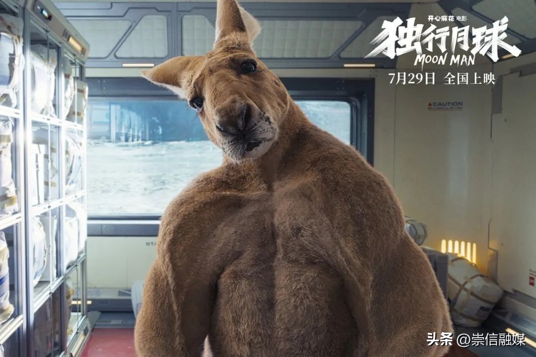 《独行月球》里的肌肉袋鼠“刚子”，真的能踹飞沈腾吗？