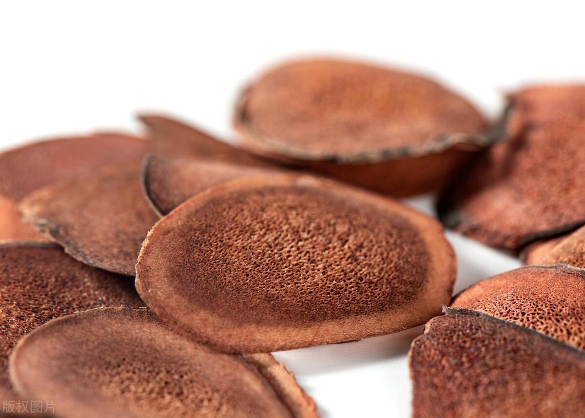 鹿茸补阳药,鹿茸补肾健脾补品