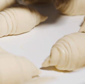 “面包脑袋的天堂，藏在东山口博物馆里”