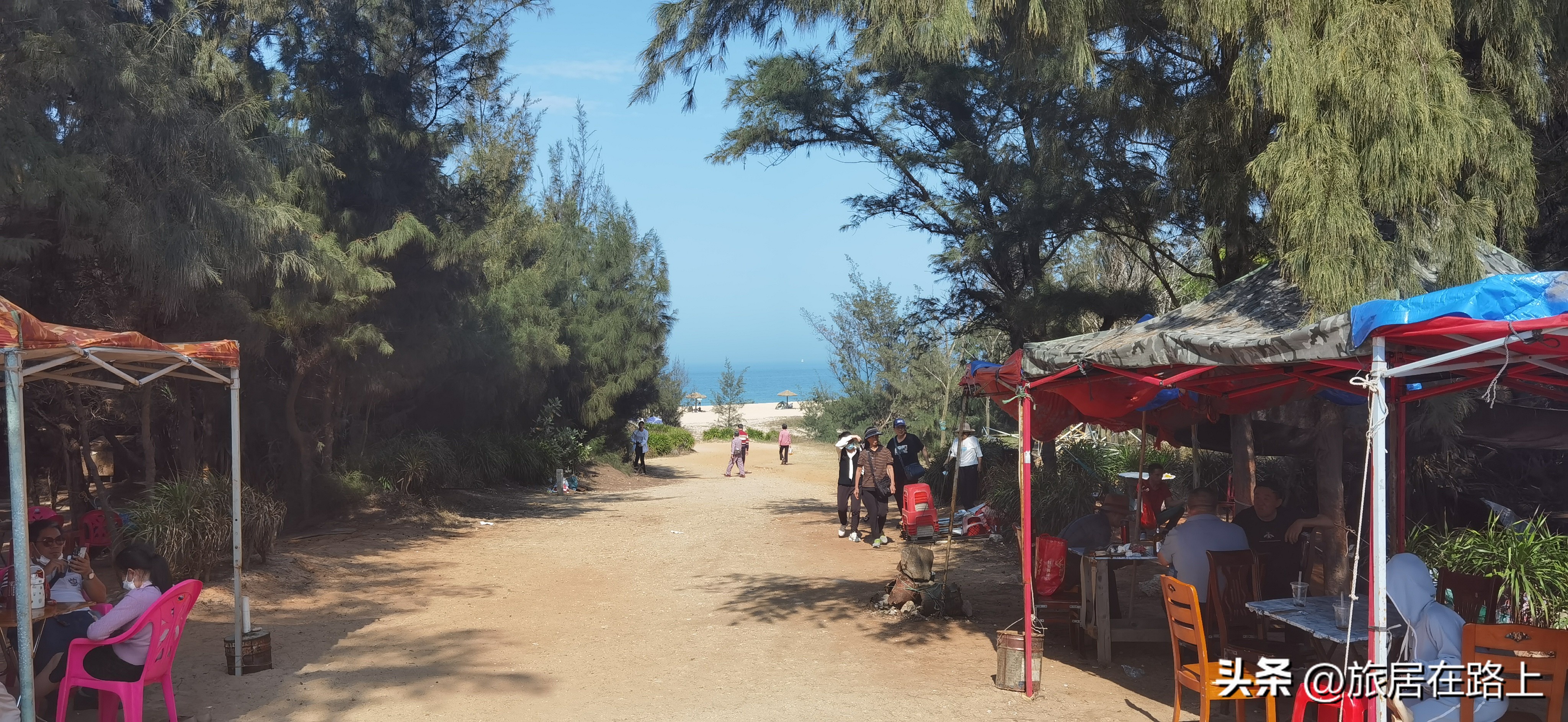 棋子湾上的仙人掌,海南棋子湾旅游攻略一日游