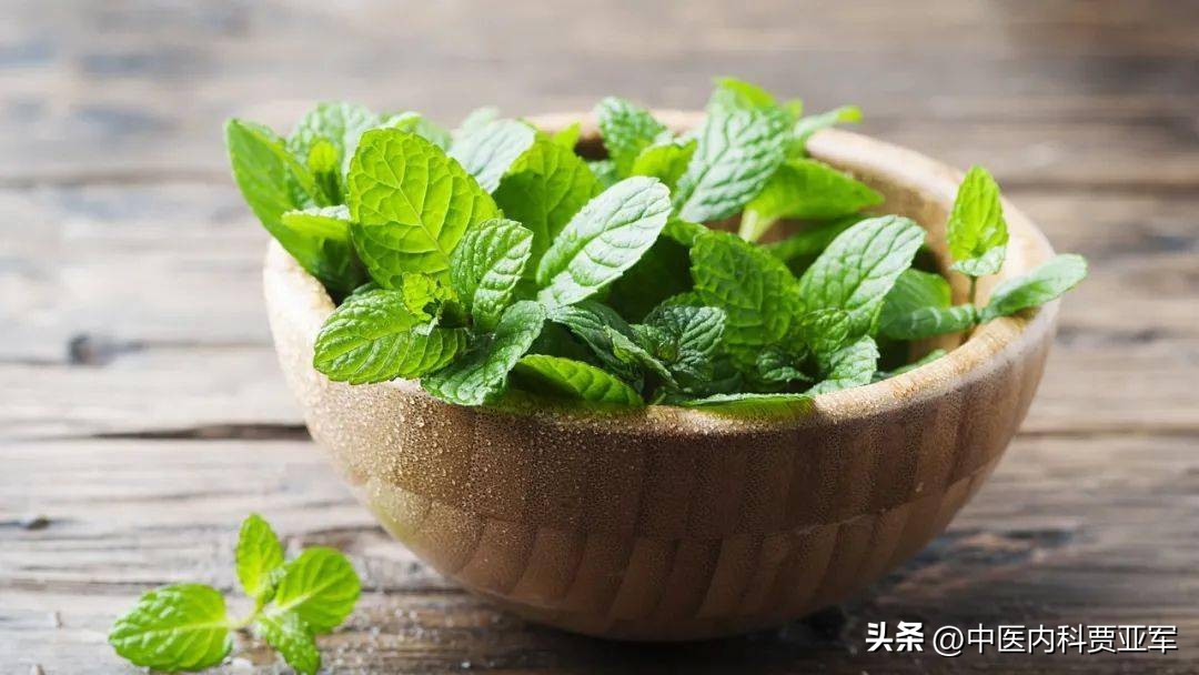 清热祛湿健脾胃的草,清热祛湿健脾胃治脾胃虚寒的草