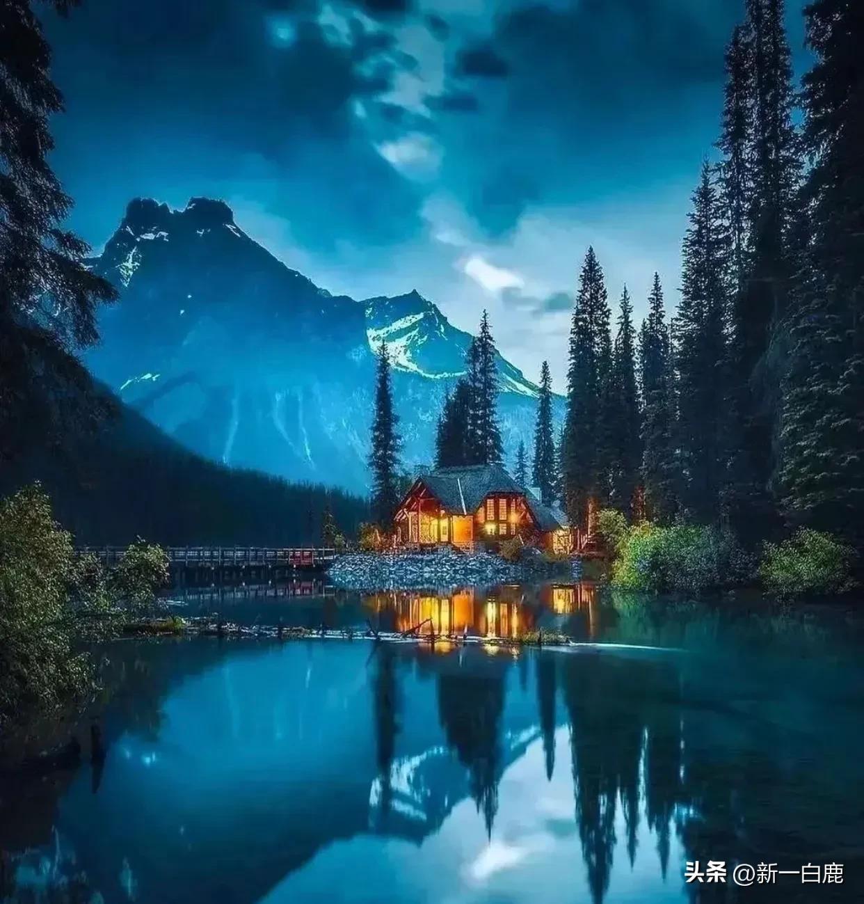 全球援助乌克兰的国家有哪些,给乌克兰提供军事援助的国家名单