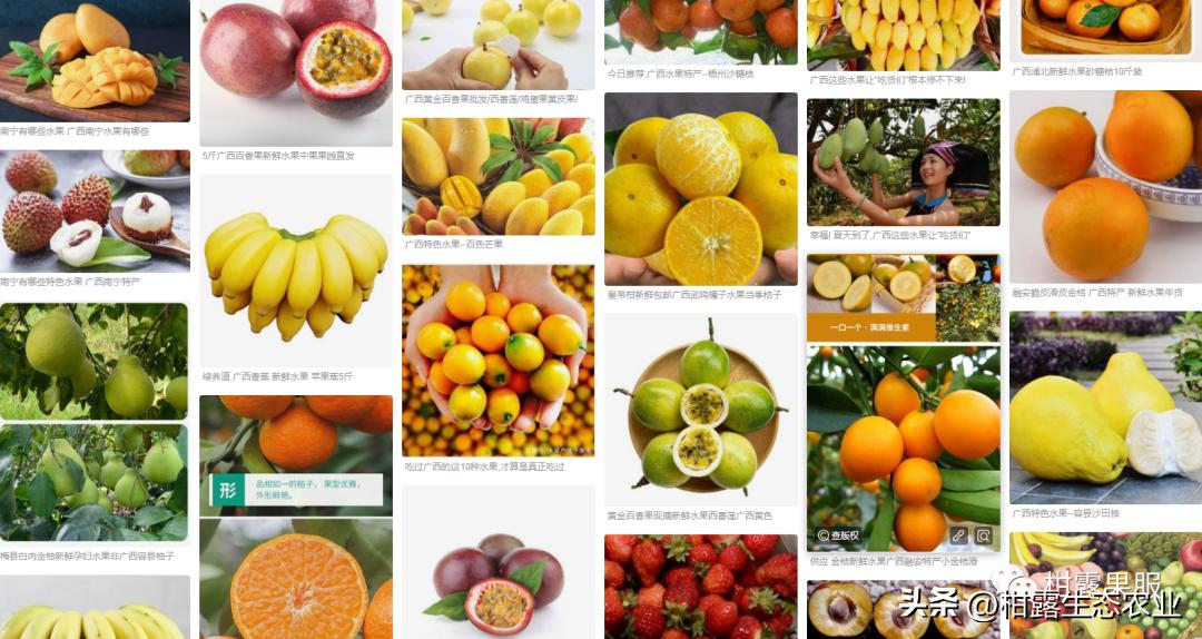 广西中国第一水果产区,广西十大水果产量排名