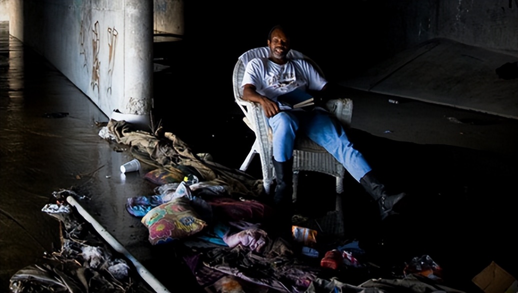 美国老鼠泛滥死了多少人,美国下水道老鼠