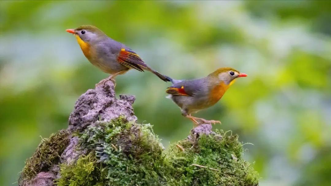淡水会加剧土地盐碱化吗,淡水能导致盐碱化吗