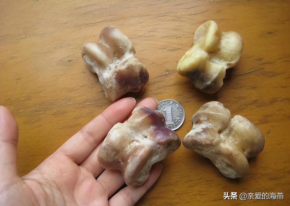 父母那时候的老物件,父母那一辈用的生活用品