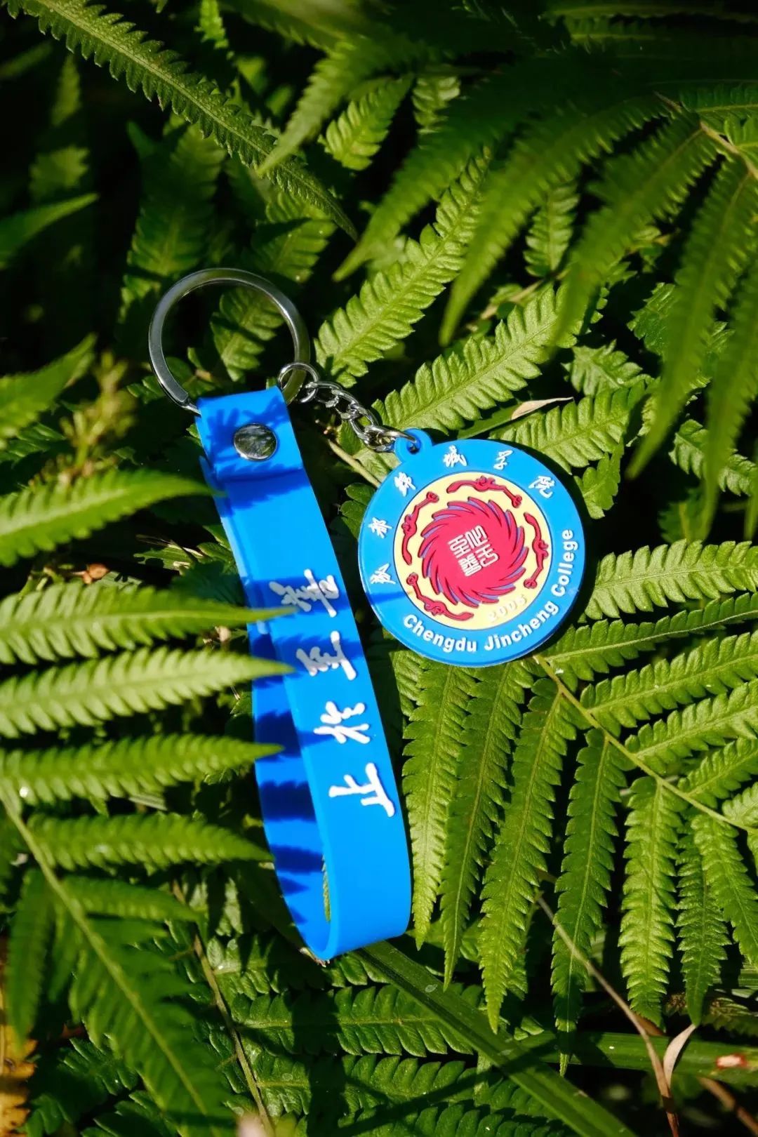 在成都读大学好就业吗,在成都读研究生是什么体验