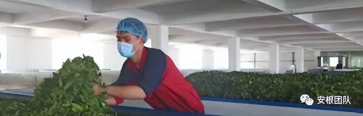 国外茶叶贸易现状,当今中国茶叶贸易现状分析