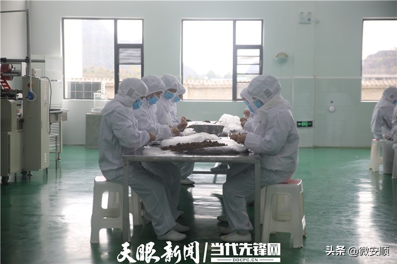 在乡村振兴的道路上走出新丝路,在新征程上全面推进乡村振兴