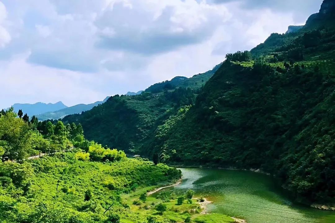 南川区金佛山旅游攻略,南川金佛山一日自驾游攻略