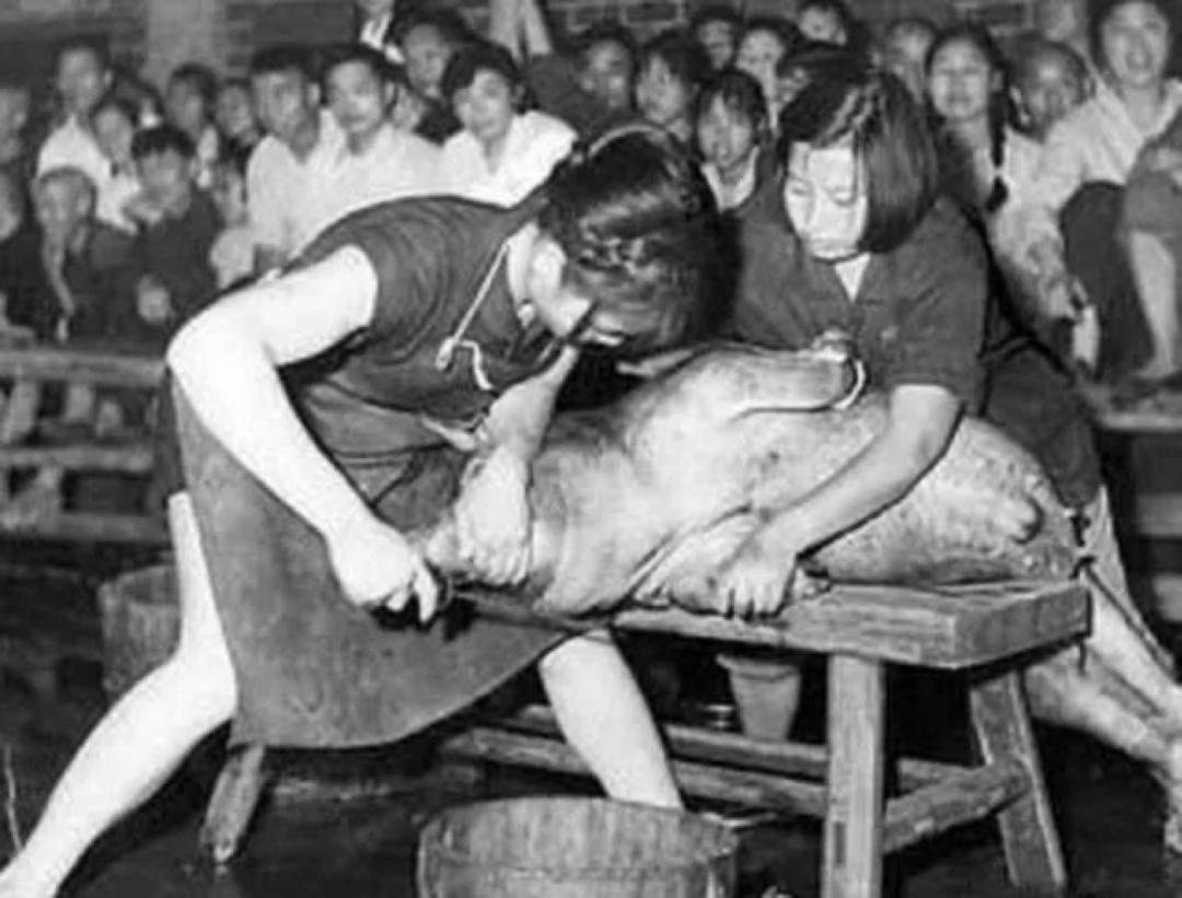 罕见的自然场景,罕见的一幕