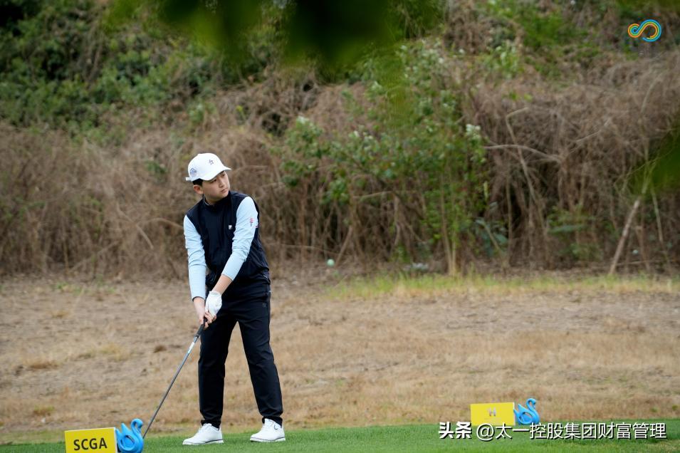 太一控股集团,太一集团与太一控股集团