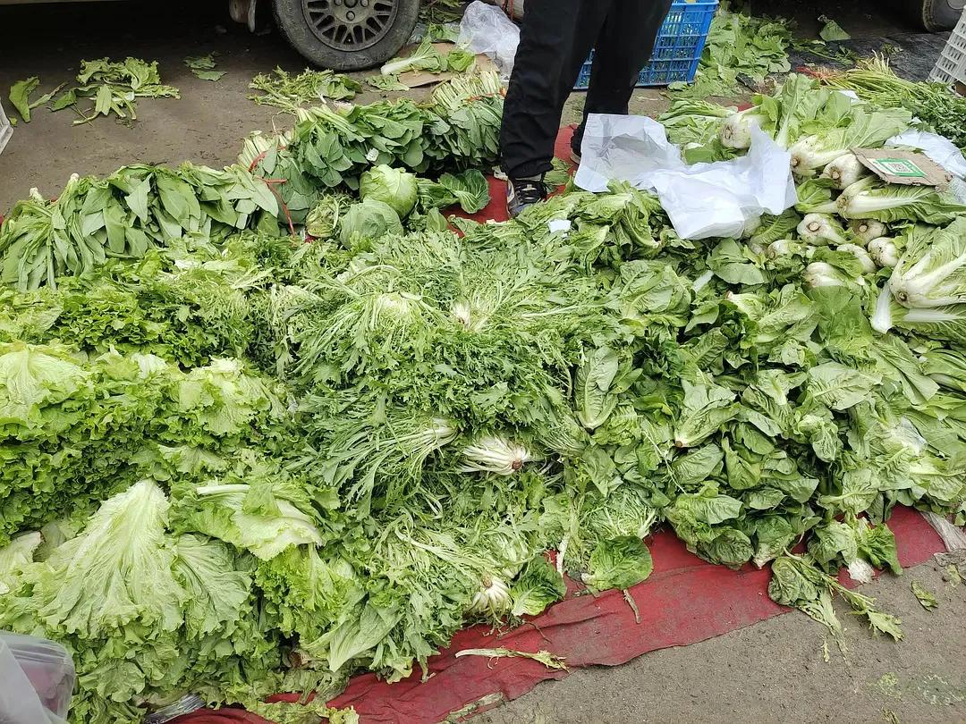 烟台水果物价,烟台地区最新的水果价格
