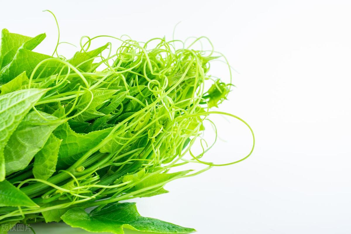 小满节气食谱大全及做法,小满应季食材和菜肴