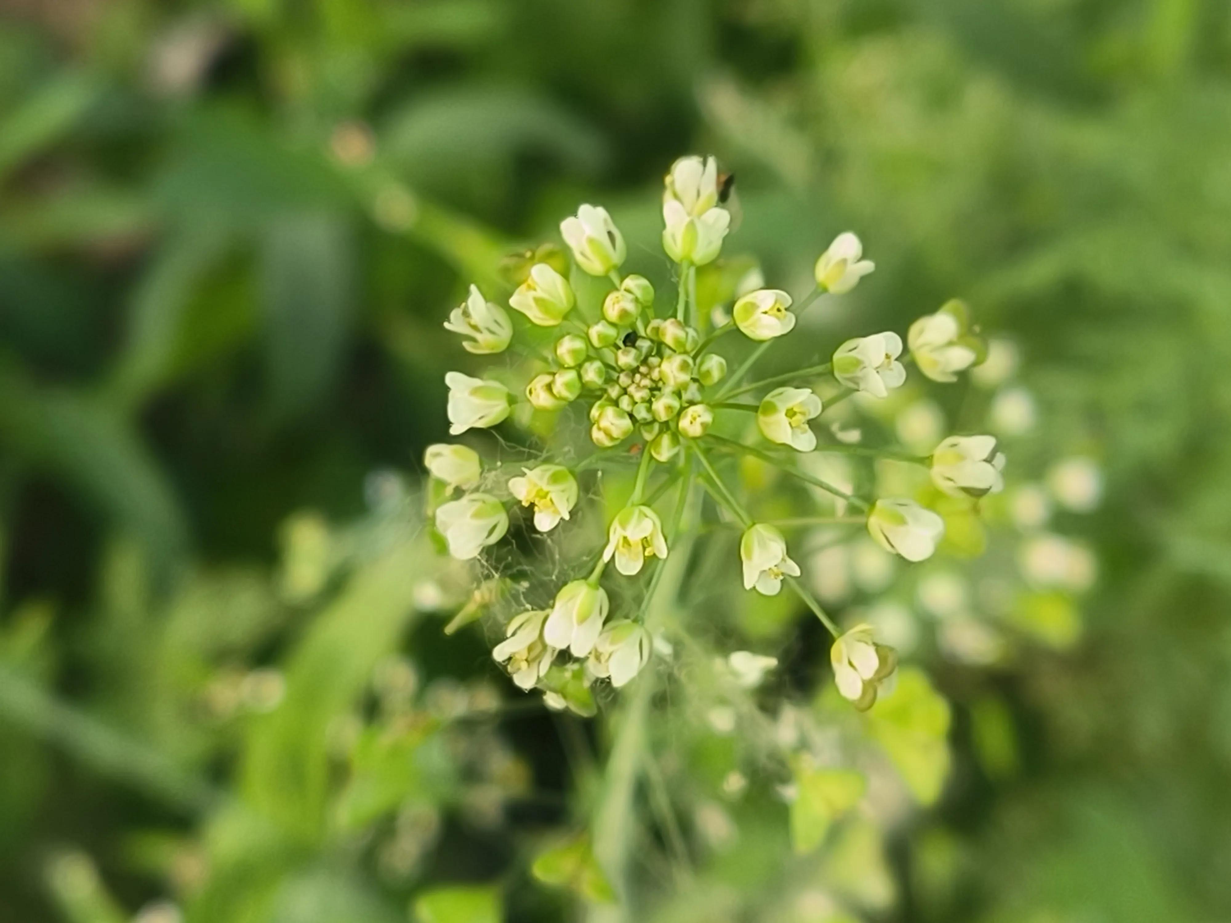 经典七字对联集锦欣赏,经典对联合集大全简单